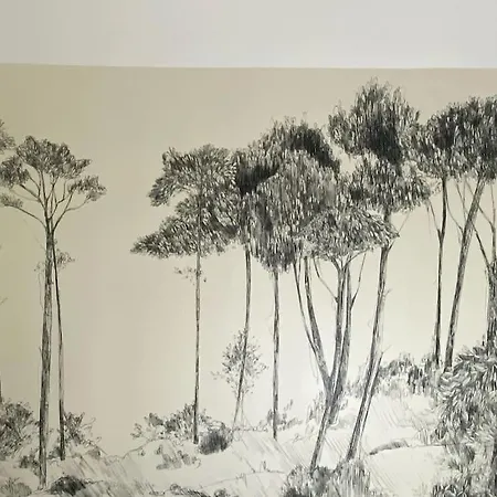 Dom wakacyjny Du Cap *