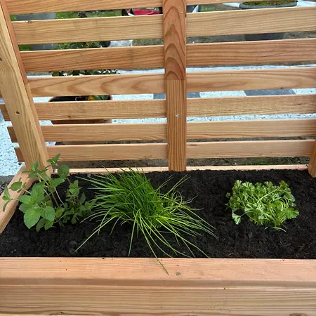 Du Cap * Bernières-sur-Mer