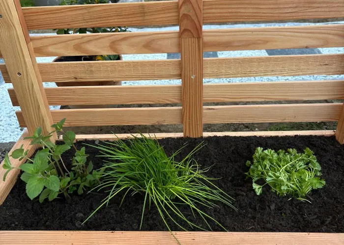 Du Cap * Bernières-sur-Mer